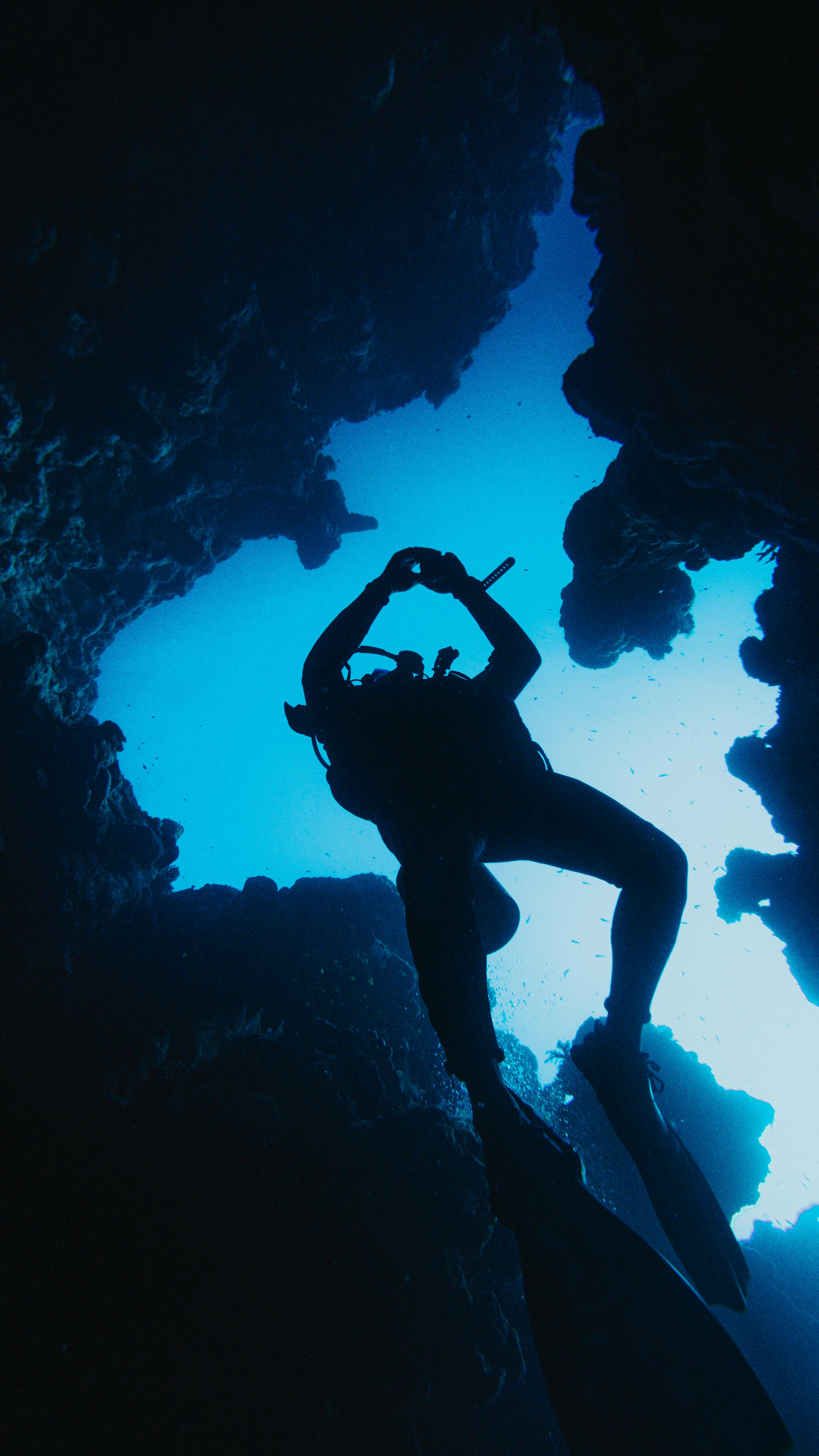 Cape Town Diving
