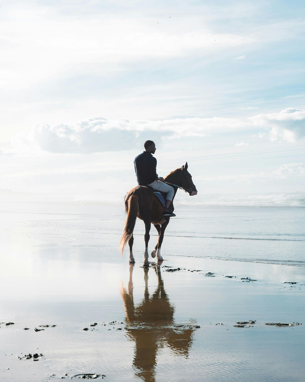 Horse Riding